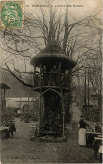 Robinson L'Arbre des Roches