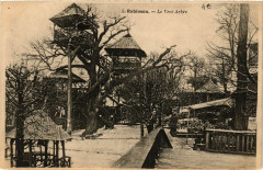Robinson - Le Vrai Arbre