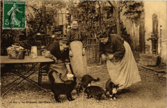 Jarcy Le Déjeuner des chats