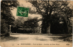 Montgeron - Foret de Senart - Carrefour du Chene Prieur -
																					91230 Montgeron
																			