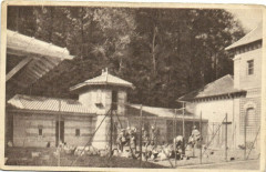 Les Soins á la Basse cour