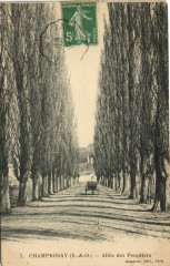 Champrosay-Allée de Peupliers -
													91 Essonne
												