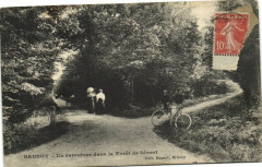 Brunoy-Un cavrefour dans la Forét de Sénart à Brunoy