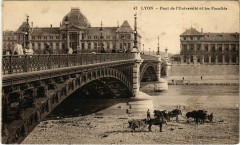 Lyon- Pont de l'Universite et les Facultes France à Lyon