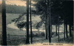 Poule Les Sapins Rhone