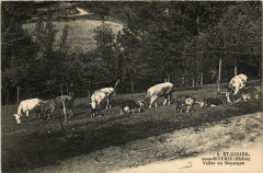 St Didier sous Riverie - Vallée du Boyancon à Riverie