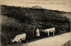 Les Echarmeaux Le Mont Joli