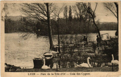 Lyon Parc de la Tete d'Or Coin des Cygnes à Lyon