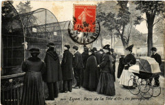 Lyon-Parc de la Tete d'Or les perroquets à Lyon