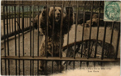 Lyon-Parc de la Tete d'Or Les Ours à Lyon
