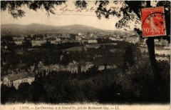 Lyon-Les Chartreux et le Mont-d'Or pris du Restaurant Gay à Lyon
