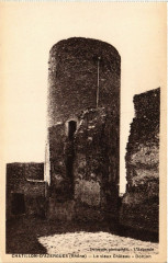 Chatillon-d'Azergues - Le vieux Chateau - Donjon à Châtillon