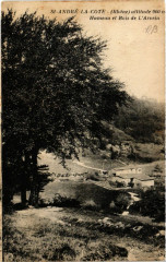 Saint-Andre-la-Cote alt. 900 m - Hameau et Bois de L'Arvein à Saint-André-la-Côte