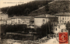 Bicetre- Vue generale -
													42 Loire
												