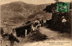 Mont-Pilat - Hameau de la Vasseras - Au fond le Saut du Gier -
													42 Loire
												