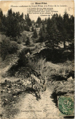 Mont-Pilat - Chemin conduisant du Grand-Hotel a la Ferme de ..