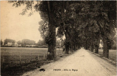 Feurs - Allée de Bigny à Feurs
