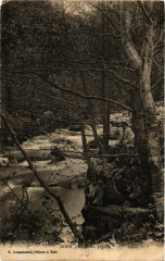 Boen - Bords du Lignon -
													42 Loire
												