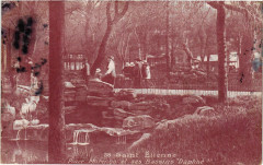 Saint-Etienne - Place Marengo et ses Bassins Daphné à Saint-Étienne