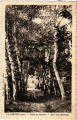 La Frette - Foret du Plantier - Alée des Bouleaux -
																					38260 La Frette
																			