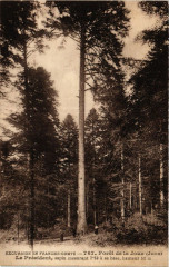 Excursion en Franche-Comte Foret de la Jouz (Jura) Le President