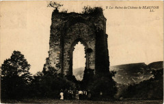 Les Ruines du Chateau de Beauvoir