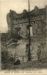 L'Isere Pitt... Beauvois-en-Royans Ruines du Chateau des Dauphins