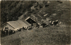 Bataillon de CHASSEurs a Pied -
													38 Isère
												