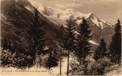 Chamonix et le Mont-Blanc