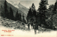 Chamonix Sur la Route du Montanvert -
													74 Haute Savoie
												