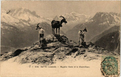 Sur les Sommets Aiguille Verte et le Mont-Blanc