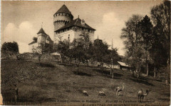 Chateau de Montrottier Vue générale