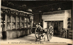 Chateau de Montrottier Salle des Armes