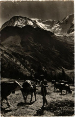 Mont-Blanc Alpages dans le Pays -
													74 Haute Savoie
												