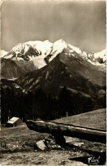 Le Bettex et le Mont-Blanc