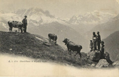 Mont-Blanc et Aiguille Verte