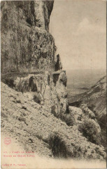 Foret de Lente Route de Combe Laval France -
													26 Drôme
												