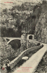 Pont de Goule-Noire sur la Bourne France