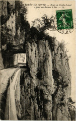 Foret de Lente - Route de Combo-Leval a flanc des Rochers a Pic -
													26 Drôme
												