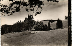 Hauteville-Lompnes Ferme Guichard en été