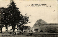 Mont Gerbier-des-Joncs Vue prise de la Maison Forestiere
