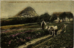 Mont Gerbier-des-Joncs