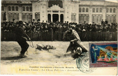Marseille Expo Internationale d'Electricite Les Chiens Policiers à Marseille