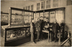 Marseille - Faculte des Sciences Laboratoire de Zoologie -
																					13000 Marseille
																			