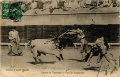 Course De Taureaux Pose de banderilles