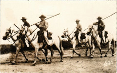 La Camargue - Guardians