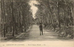 Foret d'Aigues-Boumi - Corniche de l'Esterel
