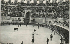 Arles La Fete Provencale -
													83 Var
												
