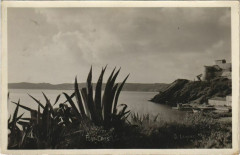 Port-Cros Island Scene
