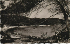 Porquerolles La Plage d'Argent